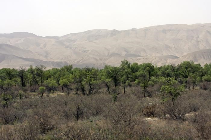 Tajikistan’s Tigrovaya Balka Nature Reserve Under Threat