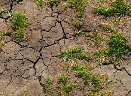 New FAO Report Ranks Tajikistan Among World’s Most At-Risk Countries for Land Degradation – The Times Of Central Asia