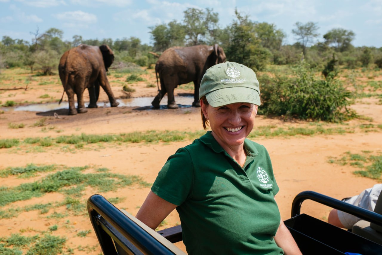 Samarkand’s CoP20 Opens with High-Stakes Debates on Wildlife Trade and Species Protection