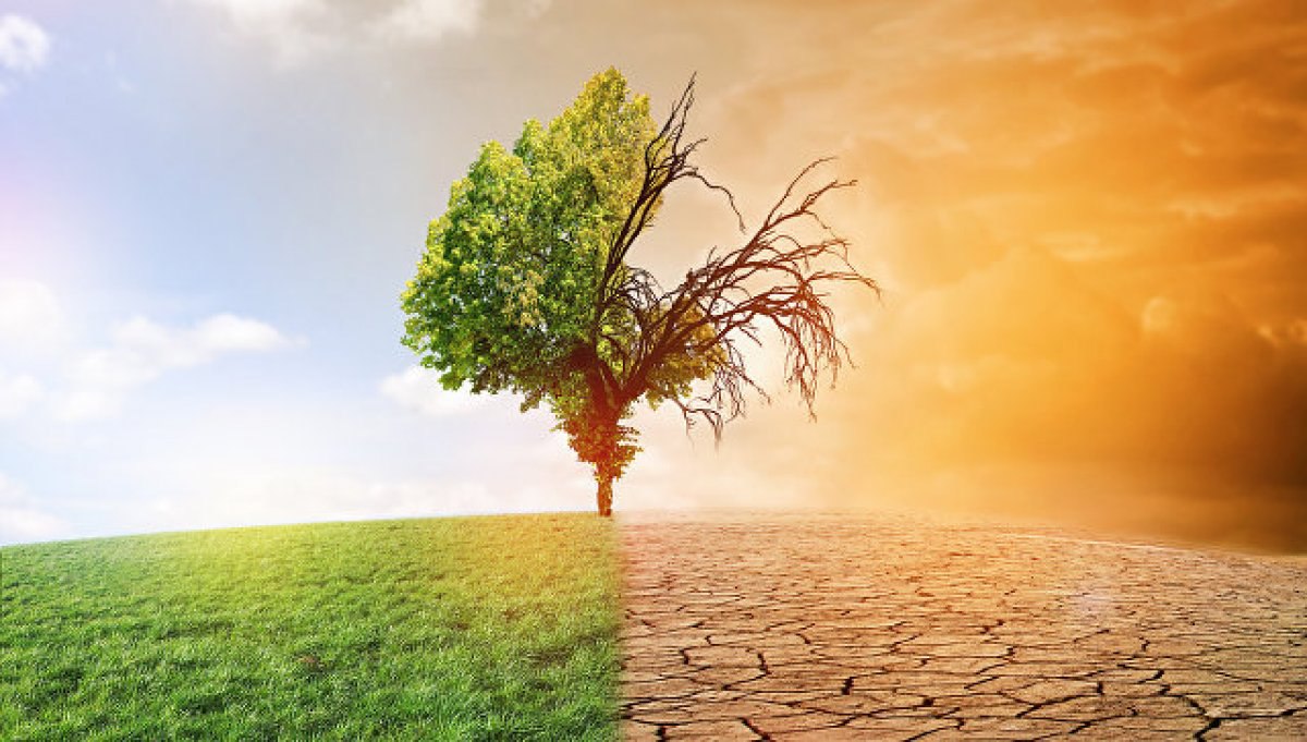 Journal Retracts Climate Study After Discovering Errors in Uzbekistan’s Economic Data