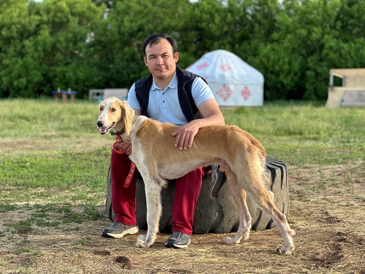 Kazakhstan’s Tazy: The Ancient Hunting Dog of the Steppe