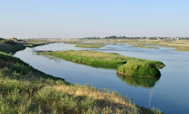 Kazakhstan and Uzbekistan Launch Study to Revise Irrigation Regimes in Syr Darya River Basin