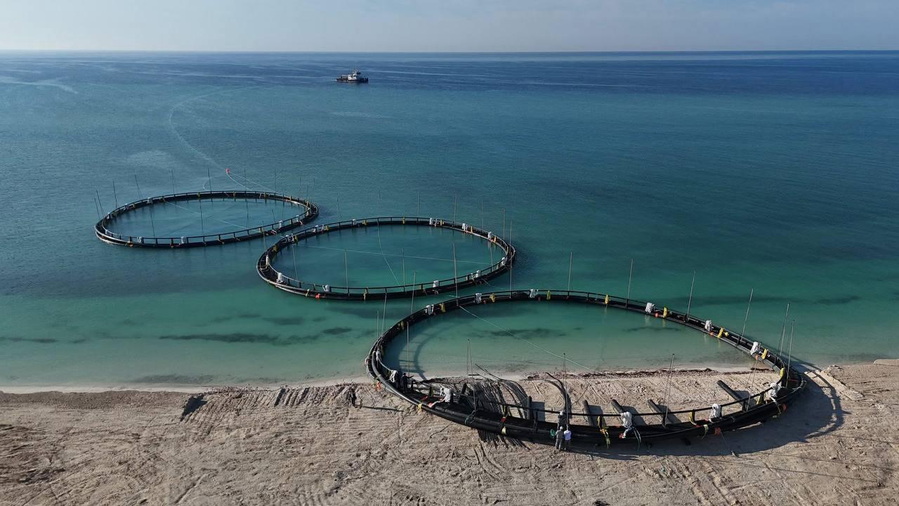 Kazakhstan’s Fish Production Continues Upward Trend