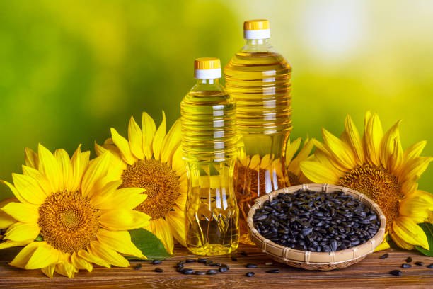 Kazakhstan Targets Top Three Global Rank in Sunflower Oil Exports by 2028